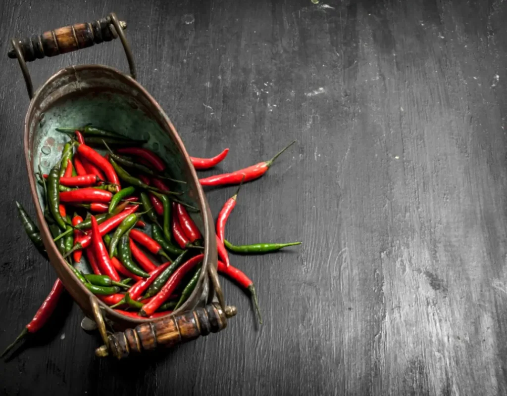 chillis kirti's (1)